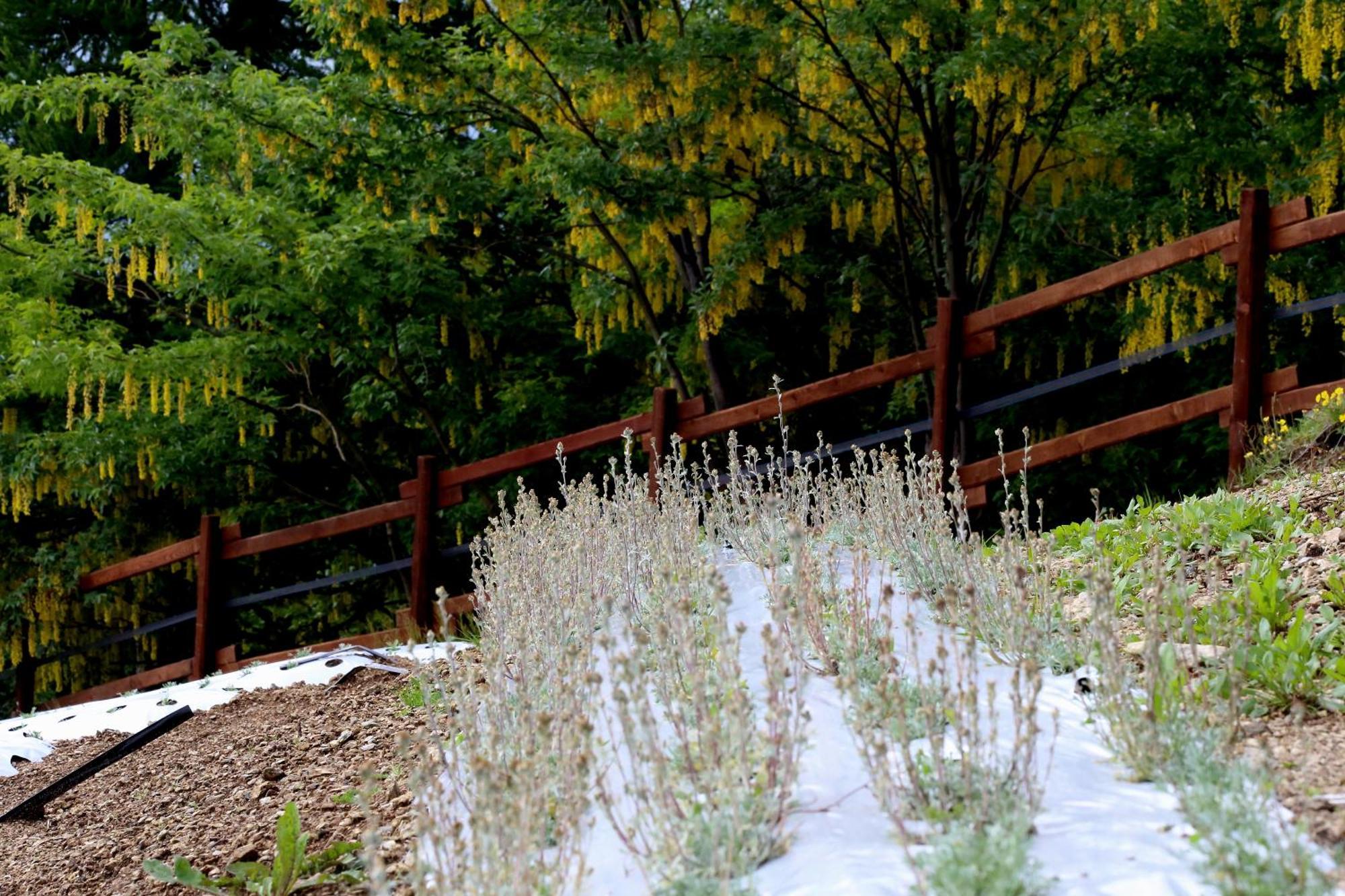 Agriturismo A Nostro Mizoun Ostana Εξωτερικό φωτογραφία